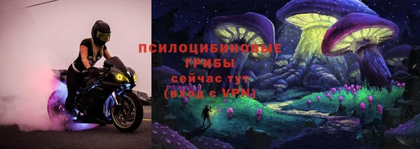 прущий лед Алзамай
