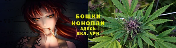 ГАЛЛЮЦИНОГЕННЫЕ ГРИБЫ Слюдянка