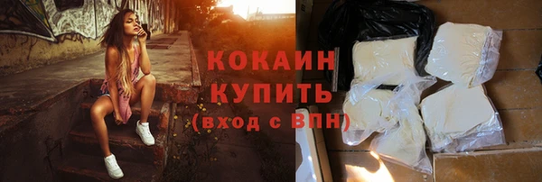 прущий лед Алзамай