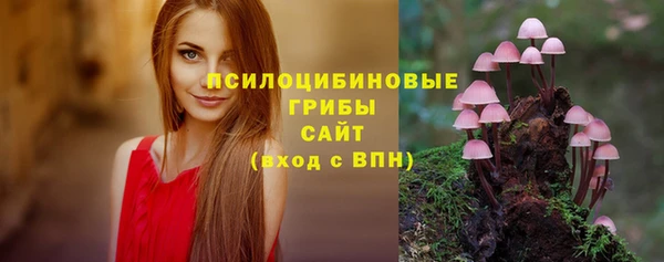 2c-b Алексеевка