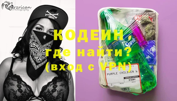 прущий лед Алзамай