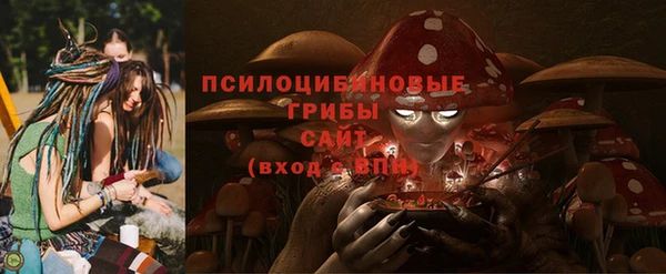 прущий лед Алзамай