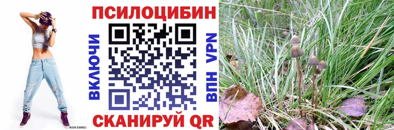 Псилоцибиновые грибы мицелий  блэк спрут сайт  Кола 